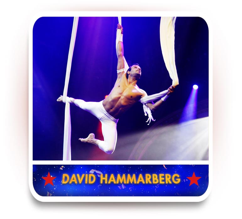David Hammerberg