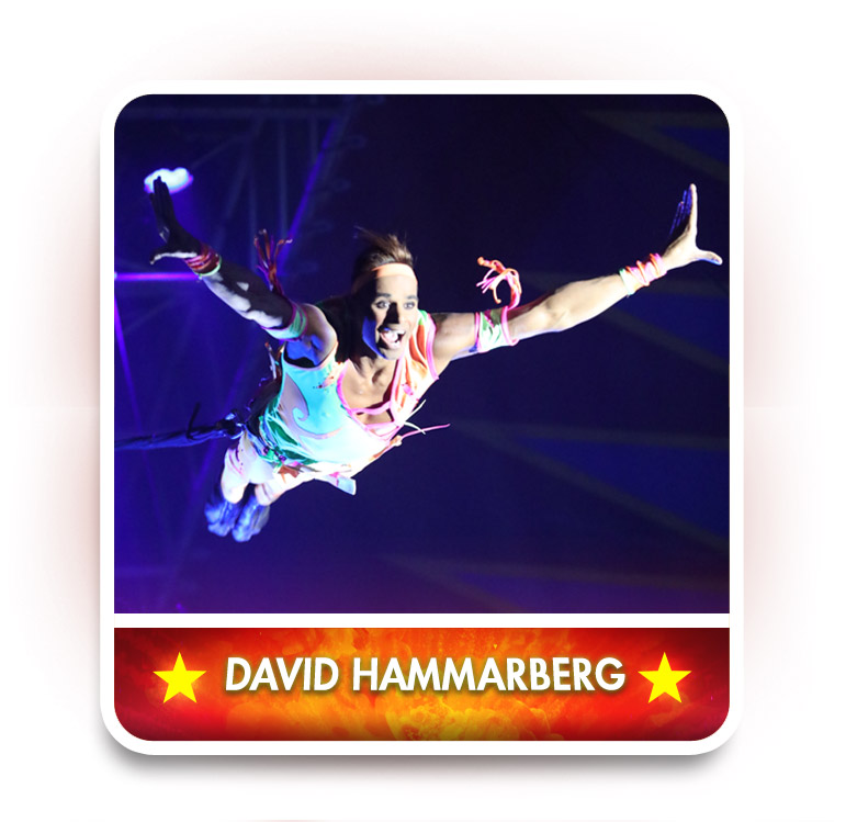 David Hammarberg