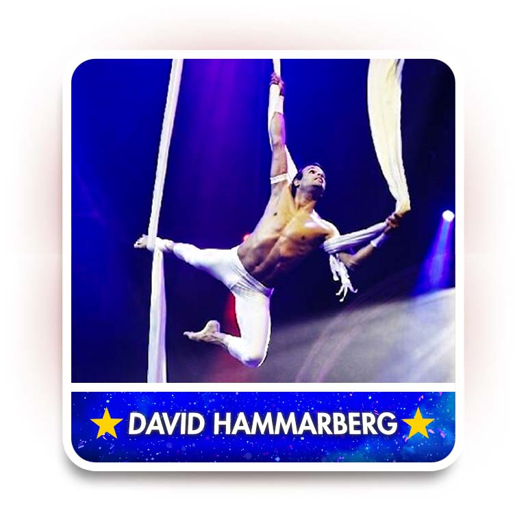 David Hammarberg