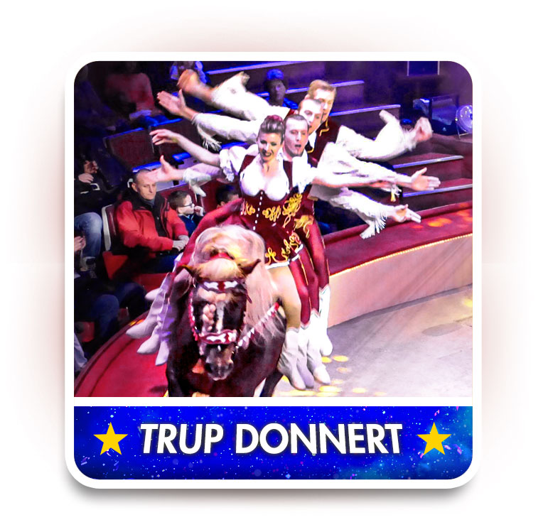 Trup Donnert Jockey Ridt