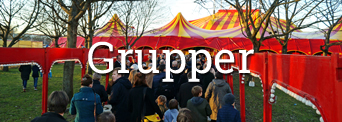Grupper