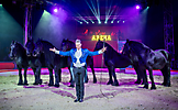 Karsten Berdino med frieserhingste