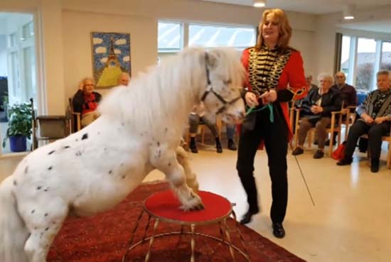 Cirkus Arena spillede forestilling på plejehjemmet i Hørve.