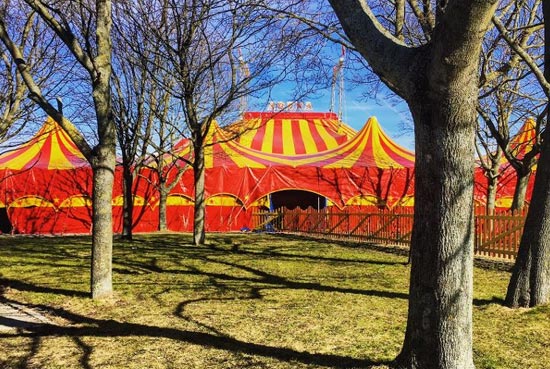 Prins Henrik i Cirkus Arena 2017